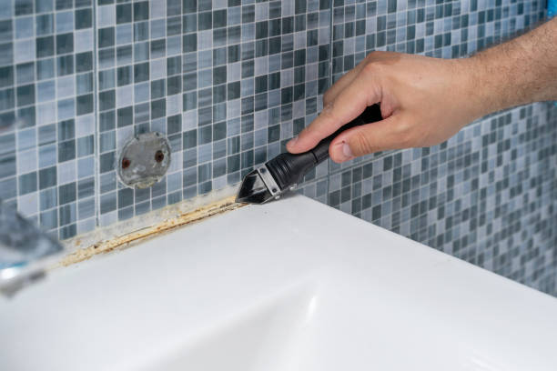 Best Industrial Mold Remediation in Indian Lake, MO
